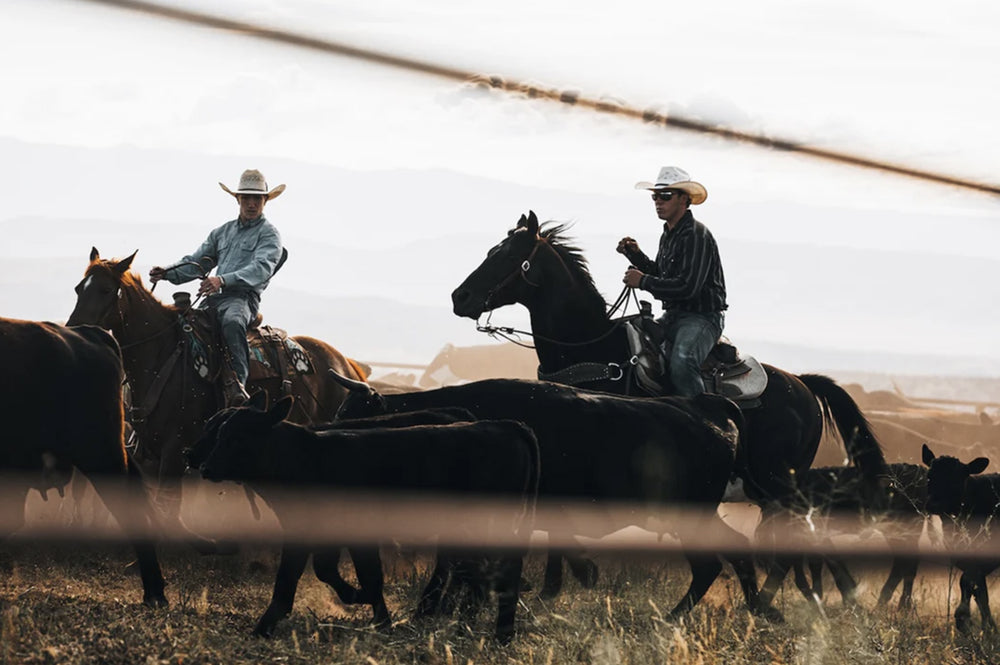Traceability You Can Trust